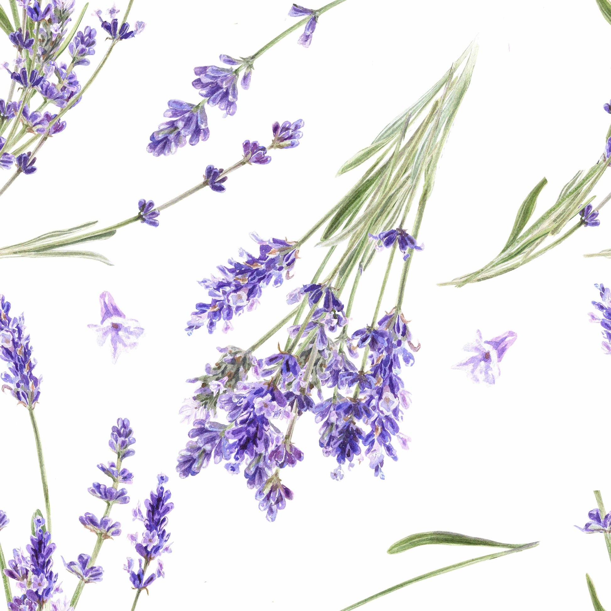 Lavender Seamless Digital Paper - CraftNest - Digital Crafting and Art