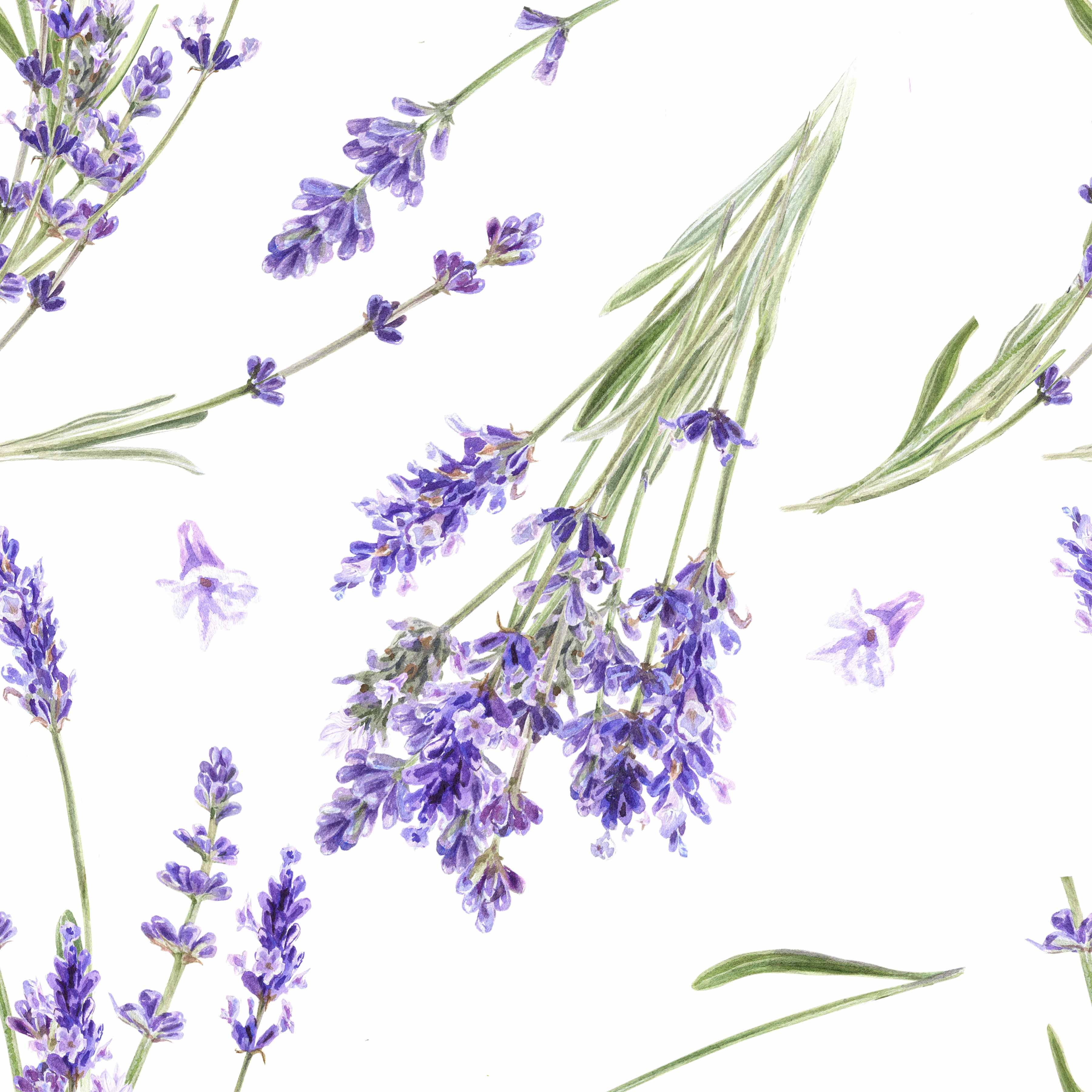 Lavender Seamless Digital Paper - CraftNest - Digital Crafting and Art