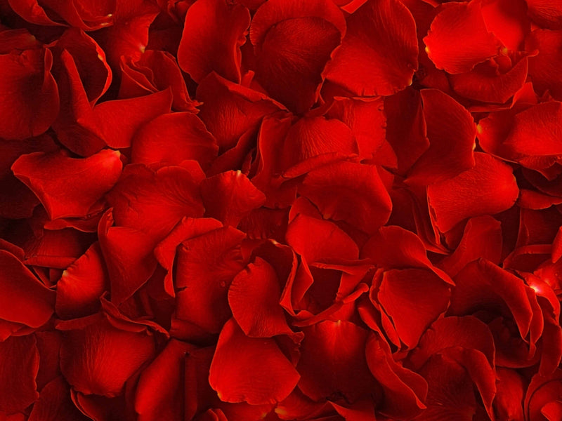 Valentine's Day Seamless Digital Paper 1 - CraftNest - Digital Crafting and Art