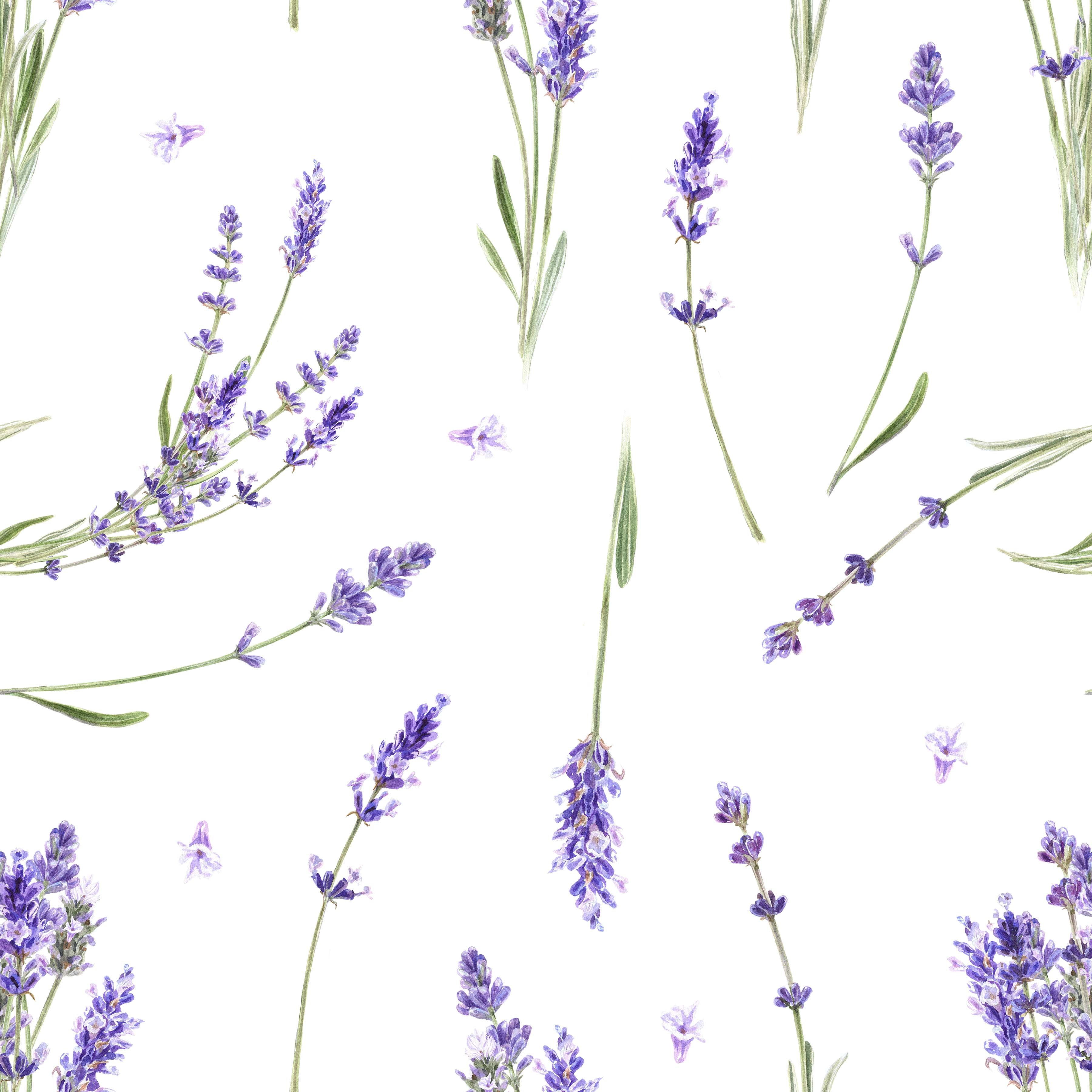 Lavender Seamless Digital Paper - CraftNest - Digital Crafting and Art