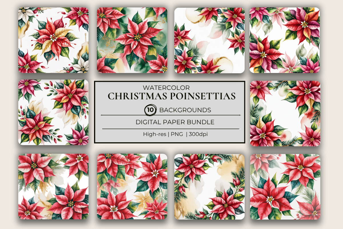 Poinsettias Background Papers