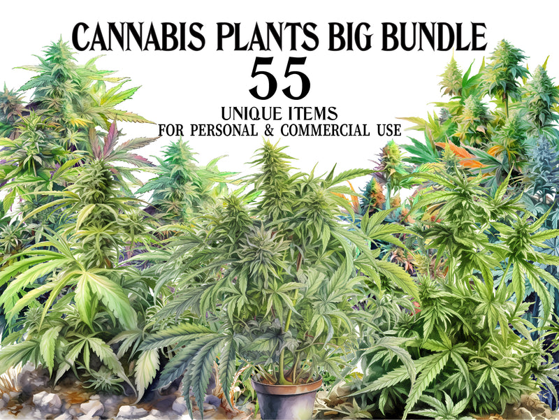 Cannabis Plants Clipart - CraftNest