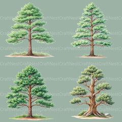 Pine Trees Clipart Bundle - CraftNest - Digital Crafting and Art