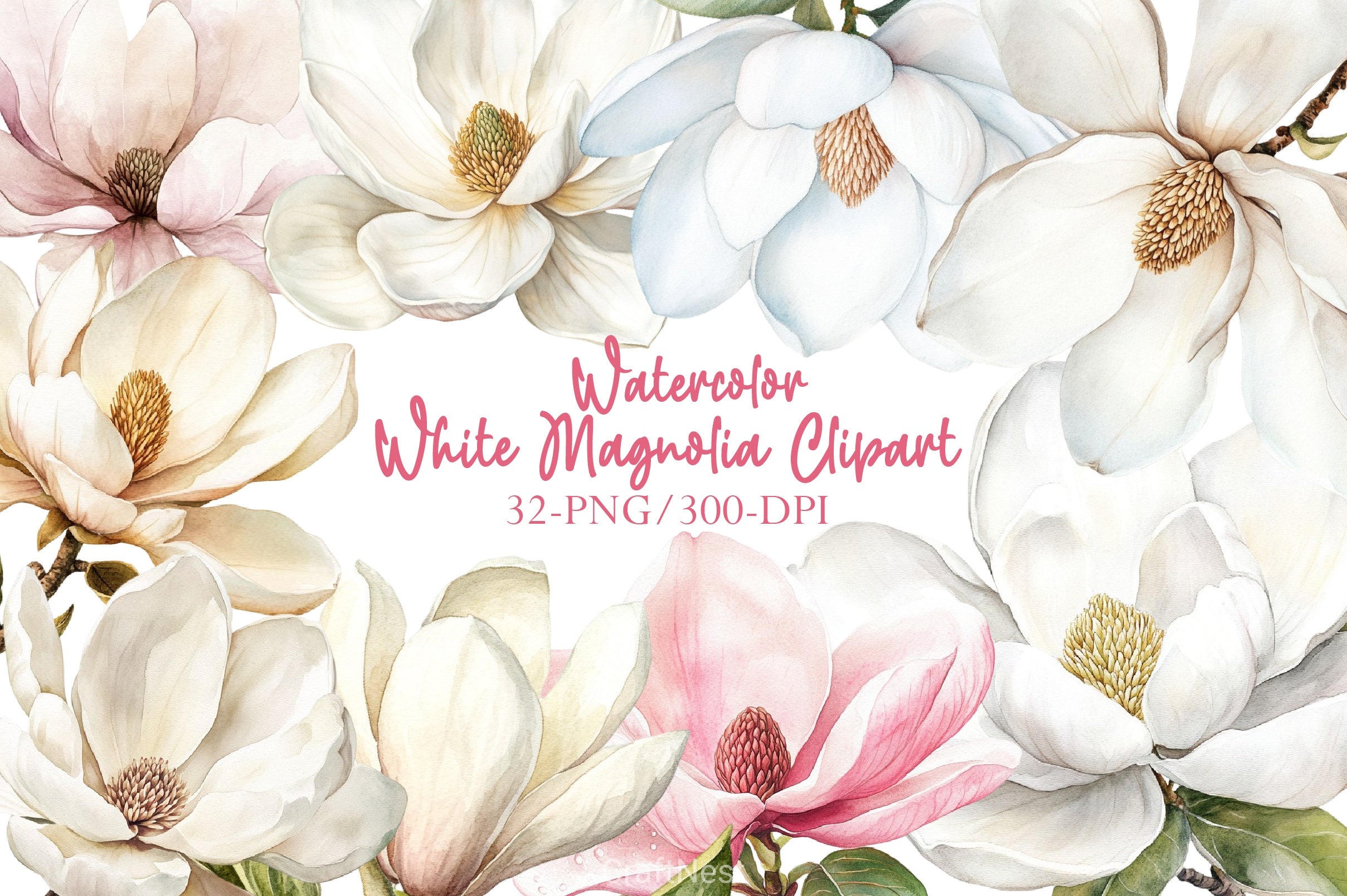 White Magnolia Clipart Bundle - CraftNest - Digital Crafting and Art