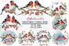 Christmas Floral Bird Clipart Bundle 1