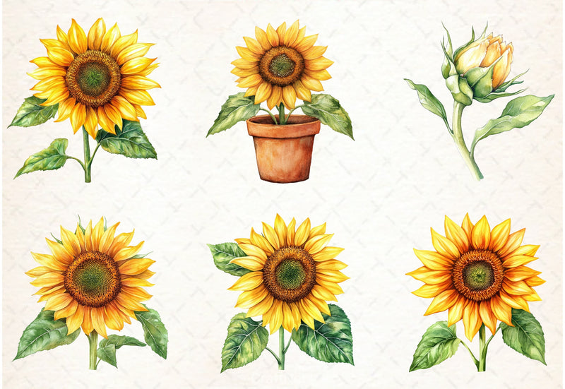Sunflowers Clipart Bundle - CraftNest - Digital Crafting and Art