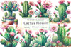 Cactus Clipart Bundle 2