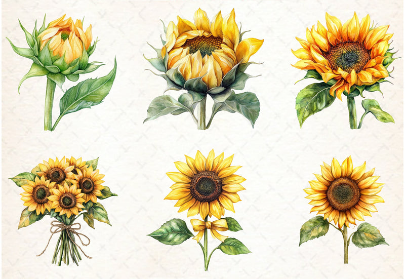Sunflowers Clipart Bundle - CraftNest - Digital Crafting and Art