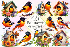 Baltimore Oriole Bird Clipart Bundle 2 - CraftNest - Digital Crafting and Art