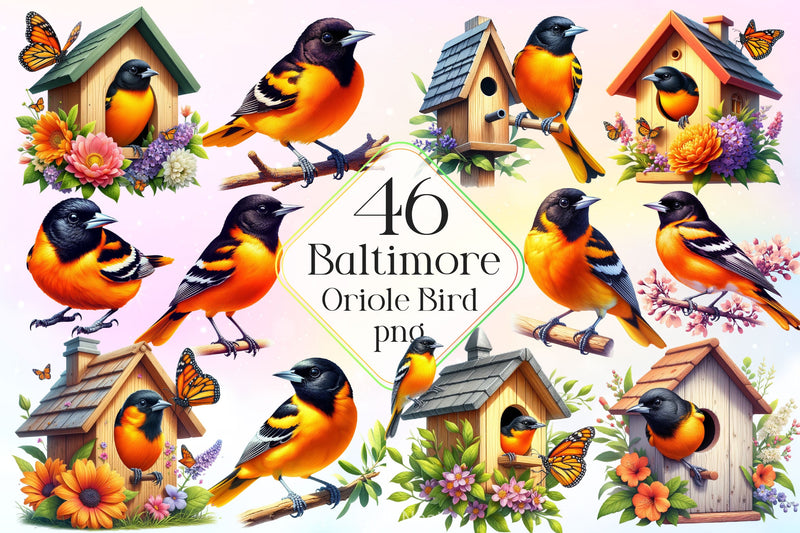 Baltimore Oriole Bird Clipart Bundle 2 - CraftNest - Digital Crafting and Art