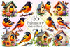 Baltimore Oriole Bird Clipart Bundle 2