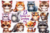 Funny Cat Grumpy Cat Clipart Bundle