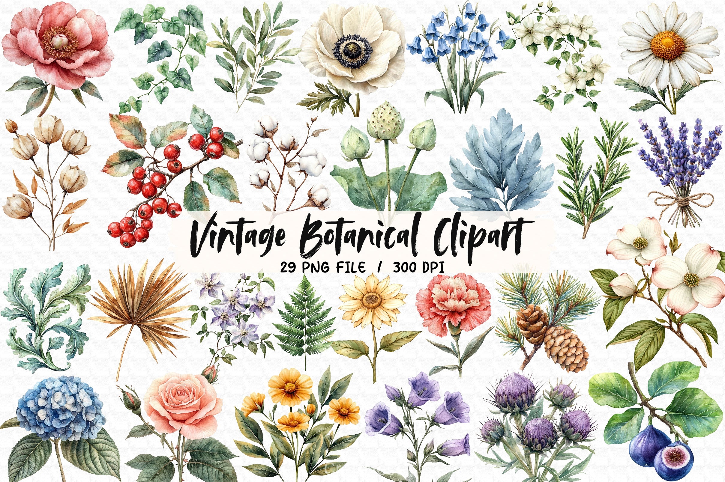 Vintage Botanical Clipart Bundle 3 - CraftNest - Digital Crafting and Art