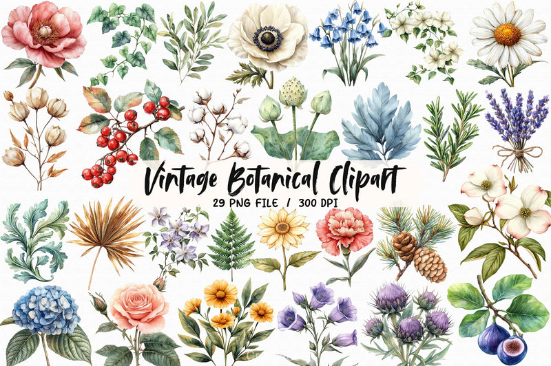 Vintage Botanical Clipart Bundle 3 - CraftNest - Digital Crafting and Art