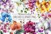Orchid Clipart Bundle