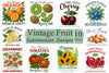 Vintage Fruit Clipart Bundle