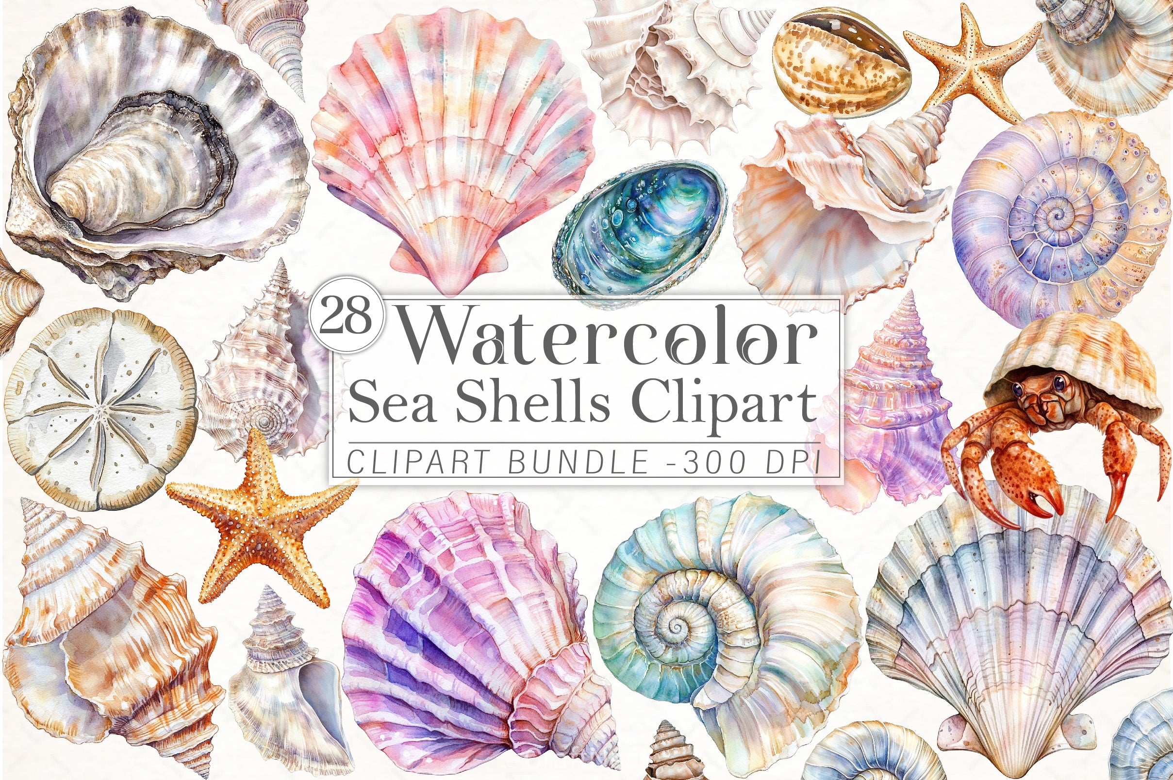 Sea Shells Clipart Bundle - CraftNest - Digital Crafting and Art