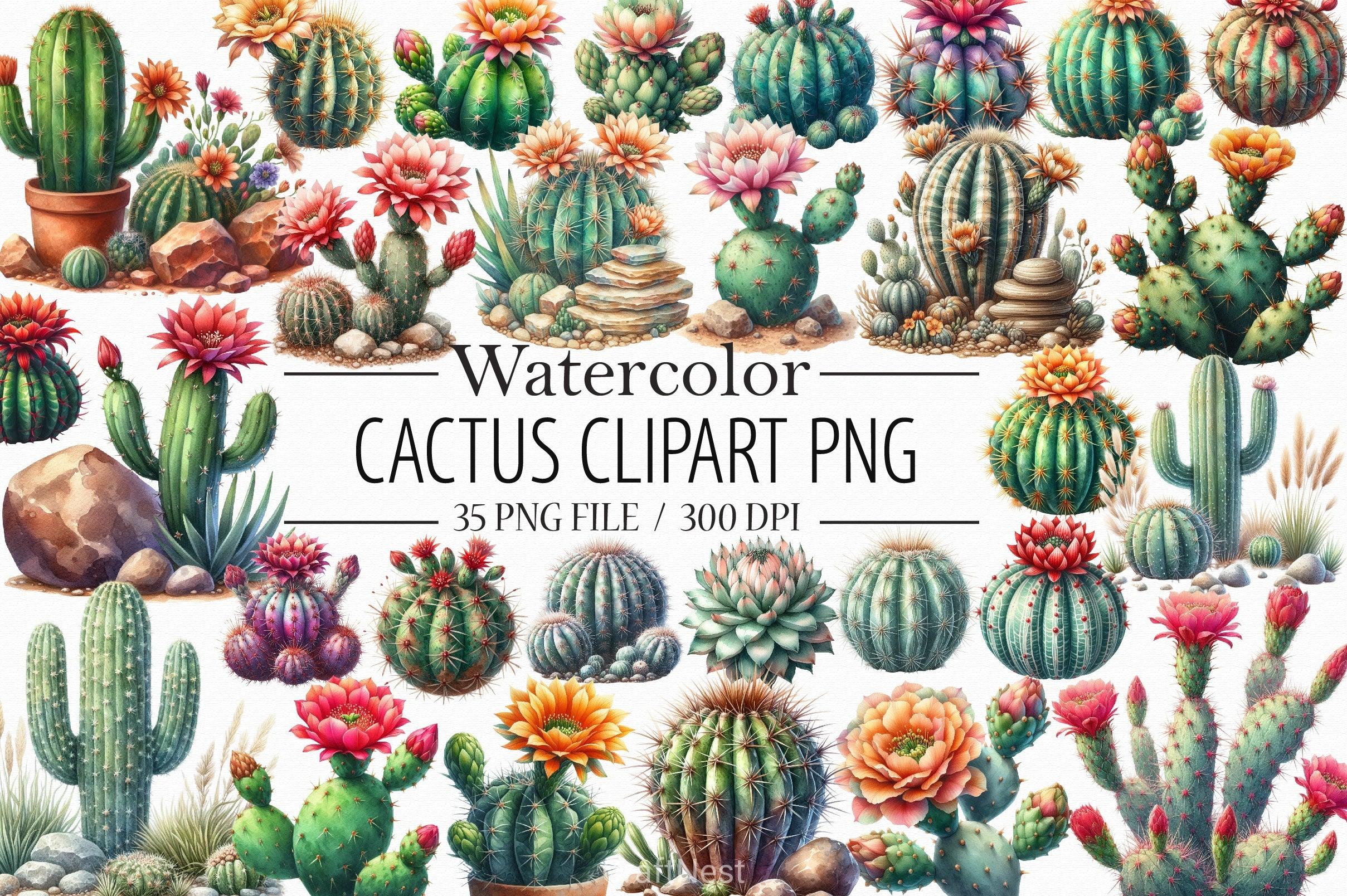 Cactus Clipart Bundle 4 - CraftNest - Digital Crafting and Art