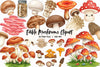 Edible Mushrooms Clipart Bundle 2