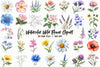 Wild Flower Clipart Bundle
