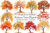Autumn Trees Clipart Bundle 6