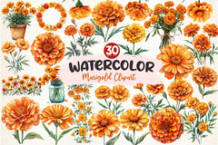 Marigold Clipart Bundle 3 - CraftNest - Digital Crafting and Art