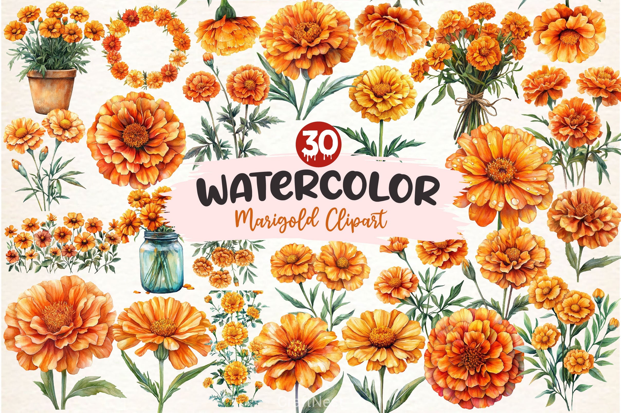 Marigold Clipart Bundle 3 - CraftNest - Digital Crafting and Art