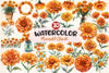 Marigold Clipart Bundle 3