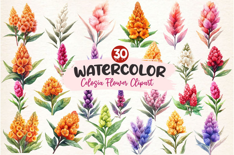 Celosia Flower Clipart Bundle 2 - CraftNest - Digital Crafting and Art