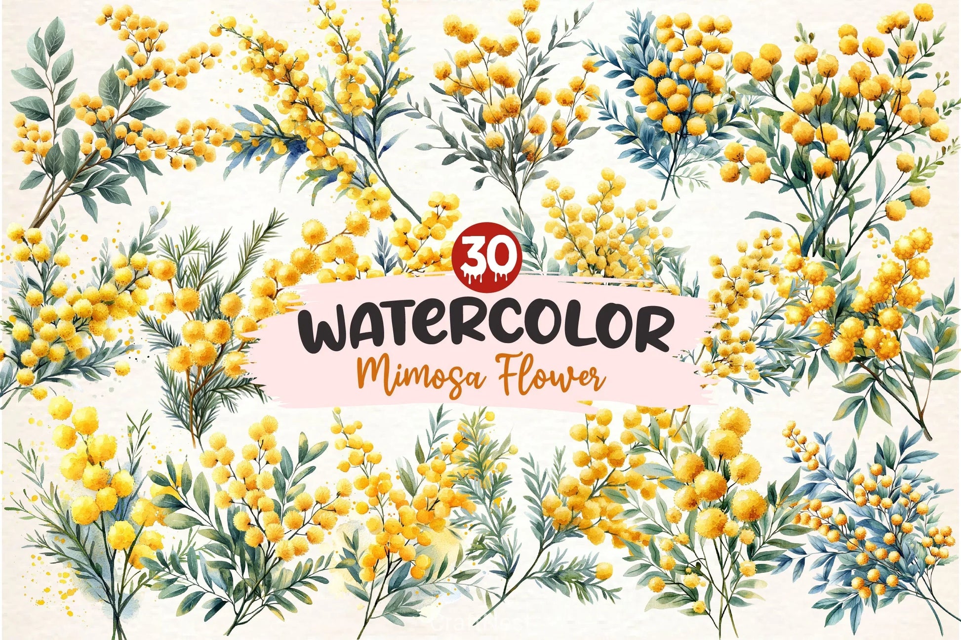 Mimosa Flower Clipart Bundle 2 - CraftNest - Digital Crafting and Art