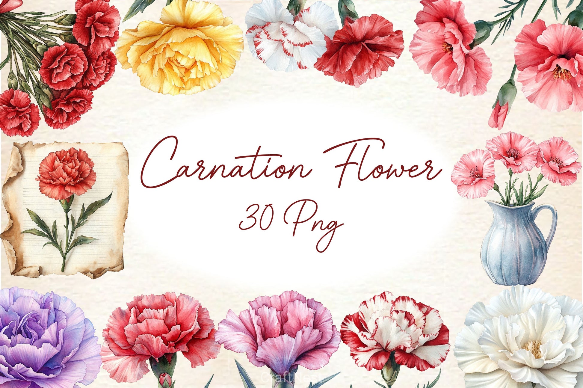 Carnation Flower Clipart Bundle 4 - CraftNest - Digital Crafting and Art