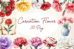 Carnation Flower Clipart Bundle 4 - CraftNest - Digital Crafting and Art