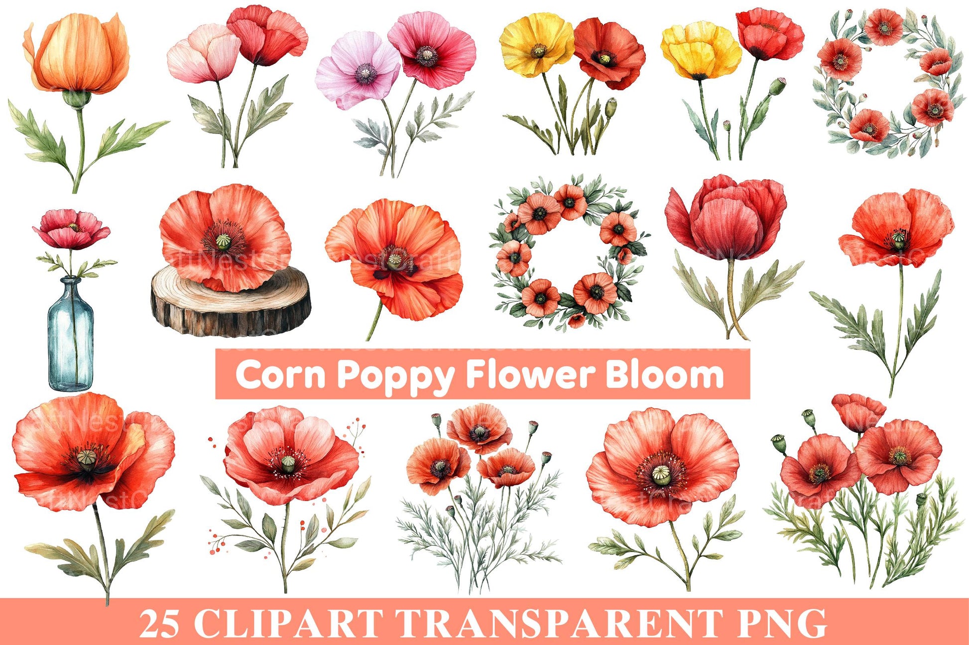 Corn Poppy Flower Bloom Clipart - CraftNest - Digital Crafting and Art