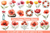 Corn Poppy Flower Bloom Clipart
