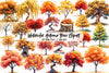 Autumn Trees Clipart Bundle