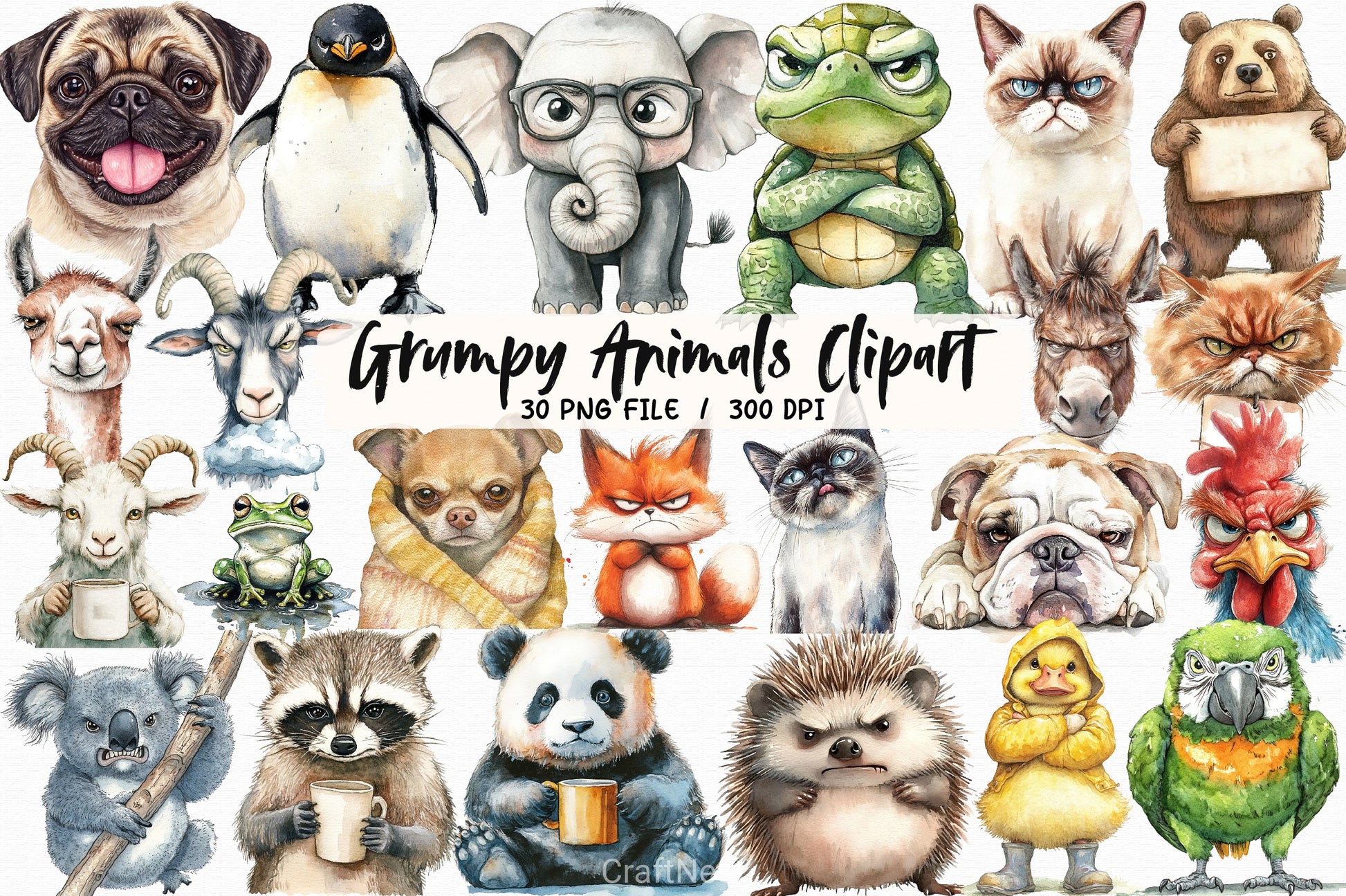 Grumpy Animals Clipart Bundle 4 - CraftNest - Digital Crafting and Art