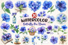 Butterfly Pea Flower Clipart Bundle