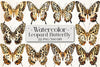 Leopard Butterfly Clipart Bundle