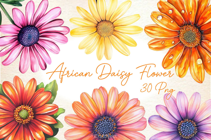 African Daisy Flower Bloom Clipart Bundle - CraftNest - Digital Crafting and Art