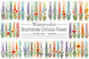 Brushstroke Christian Flower Clipart Bundle 2