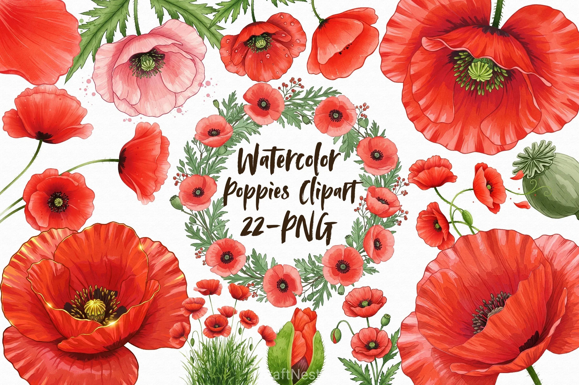 Poppies Clipart Bundle 2 - CraftNest - Digital Crafting and Art