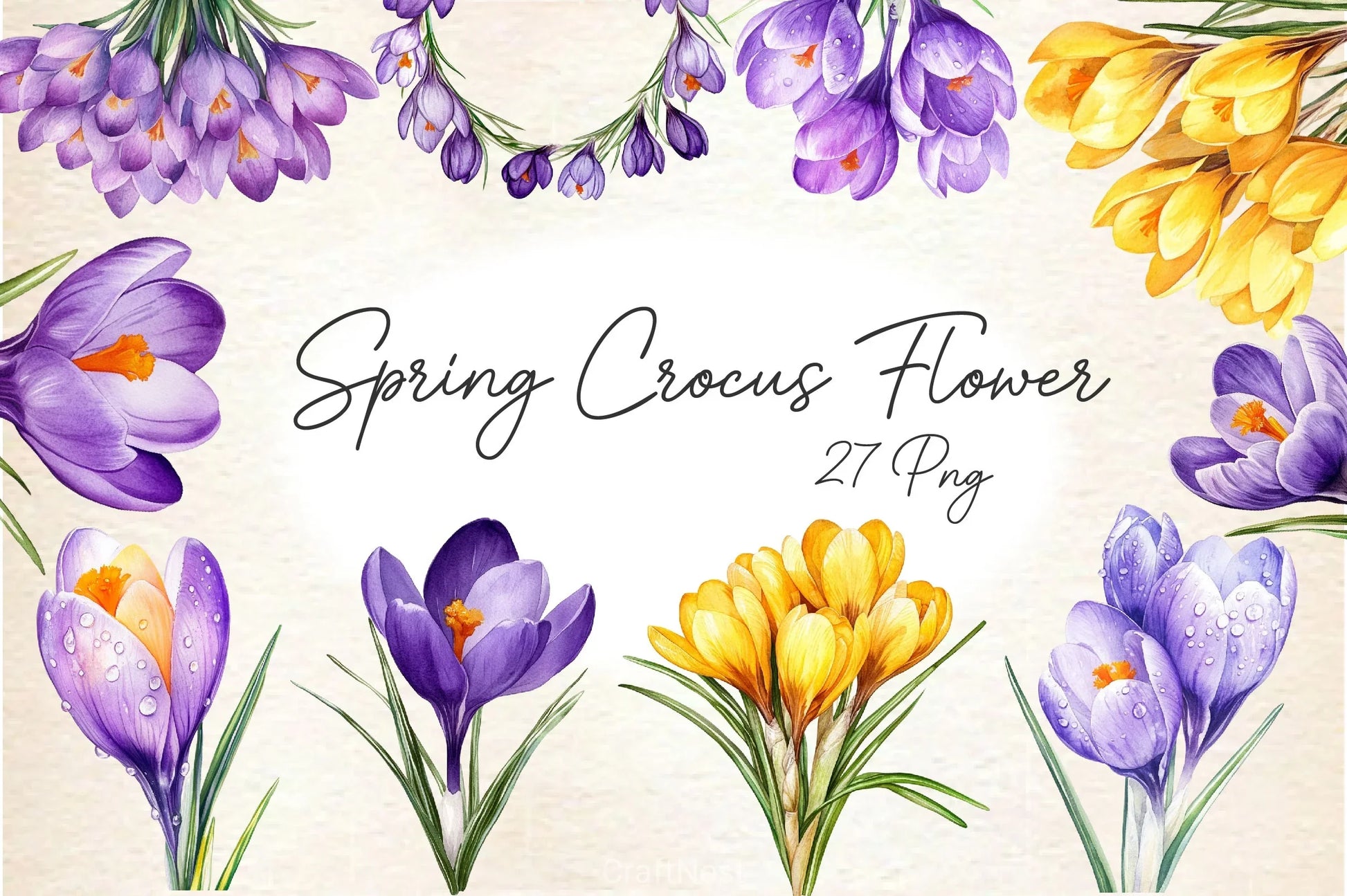 Spring Crocus Flower Clipart Bundle - CraftNest - Digital Crafting and Art