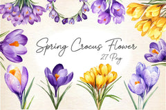 Spring Crocus Flower Clipart Bundle - CraftNest - Digital Crafting and Art