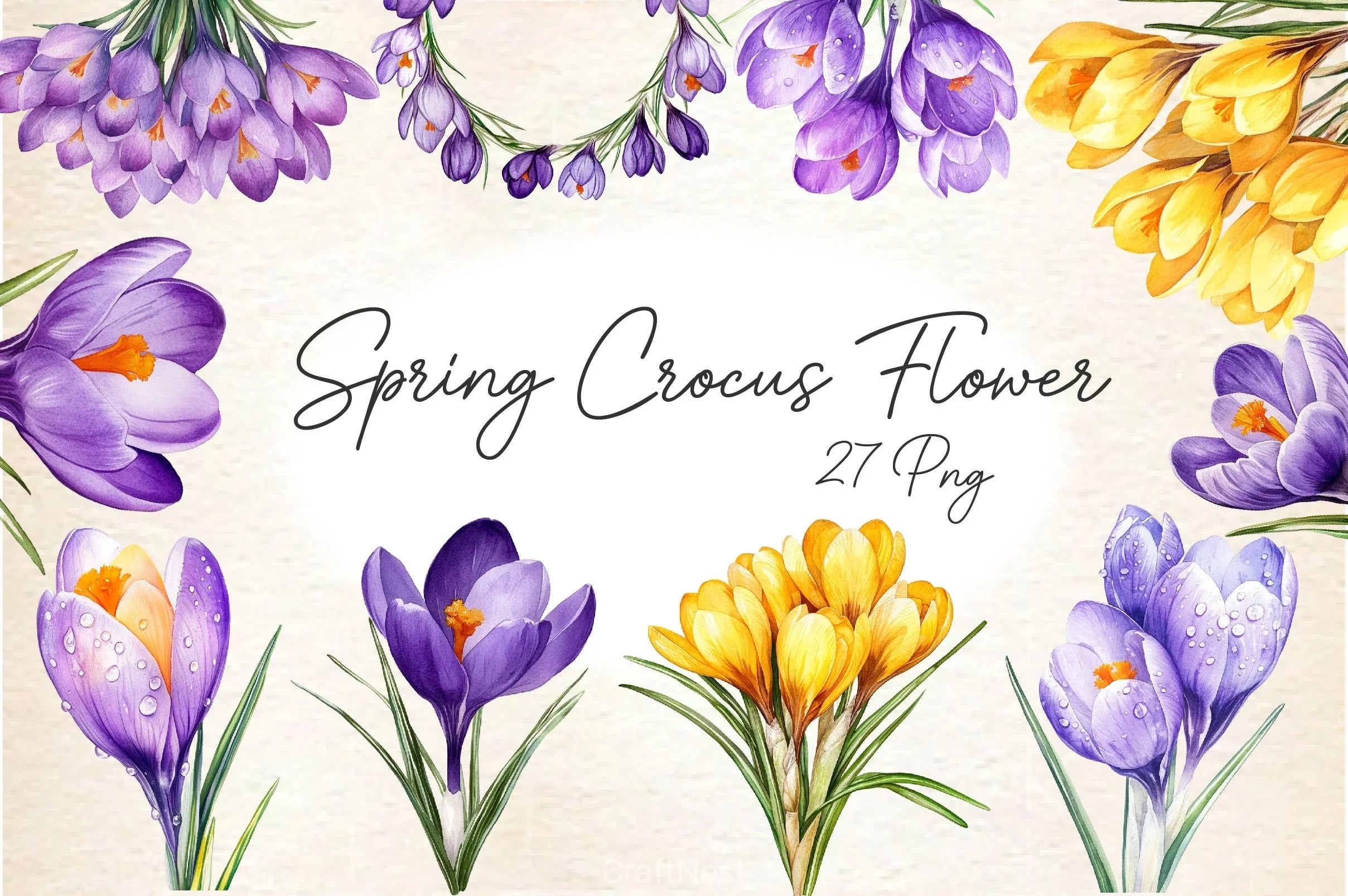 Spring Crocus Flower Clipart Bundle - CraftNest - Digital Crafting and Art