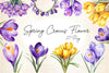 Spring Crocus Flower Clipart Bundle