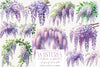 Wisteria Floral Garden Clipart Bundle