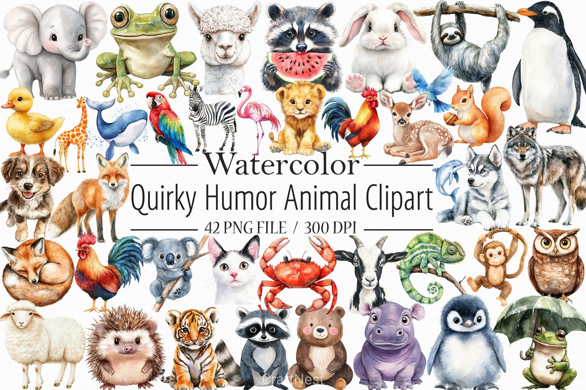 Quirky Animal Humor Clipart Bundle - CraftNest - Digital Crafting and Art