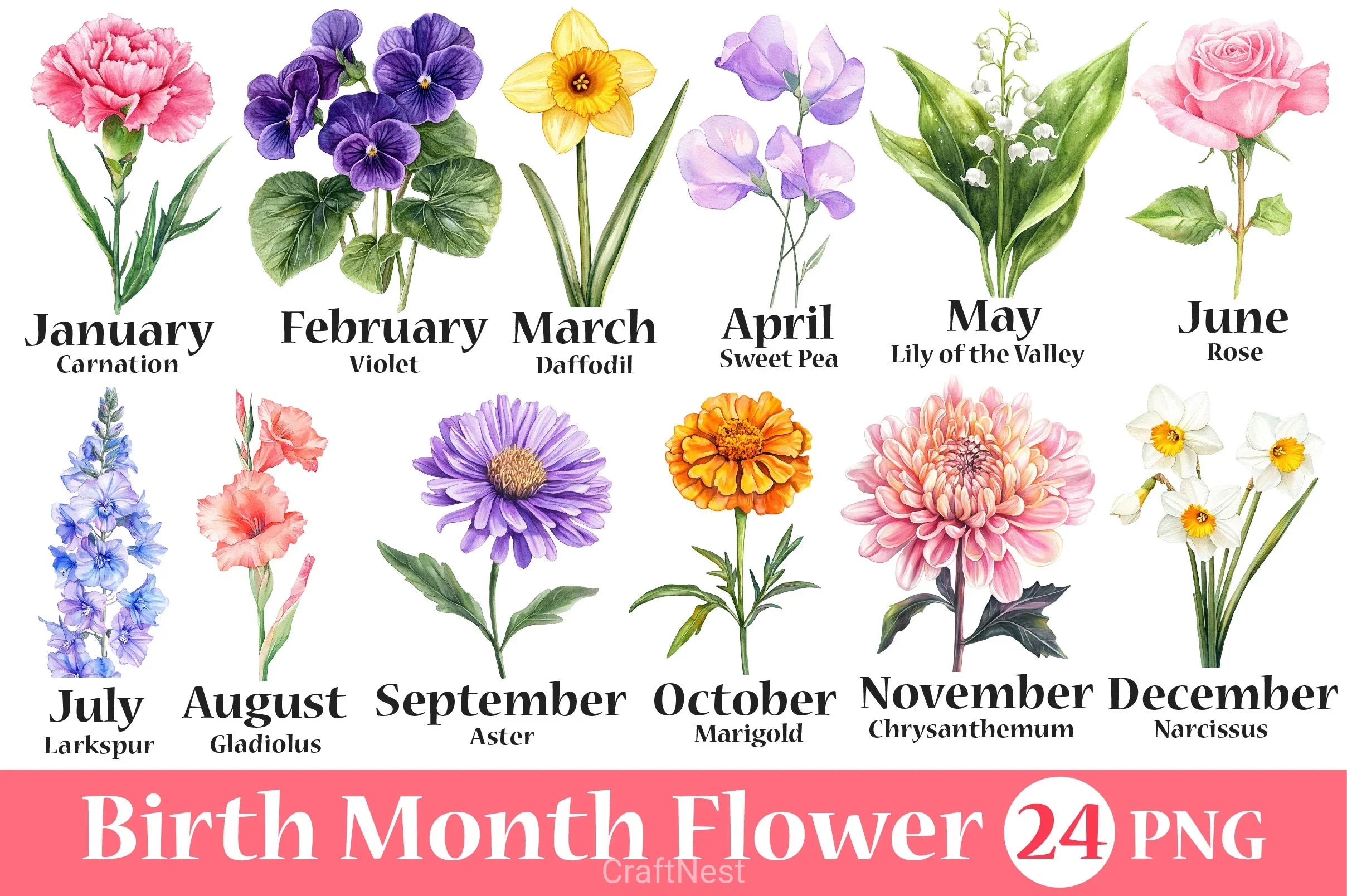 Birth Month Flower Clipart Bundle