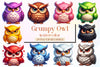 Grumpy Owl Clipart Bundle