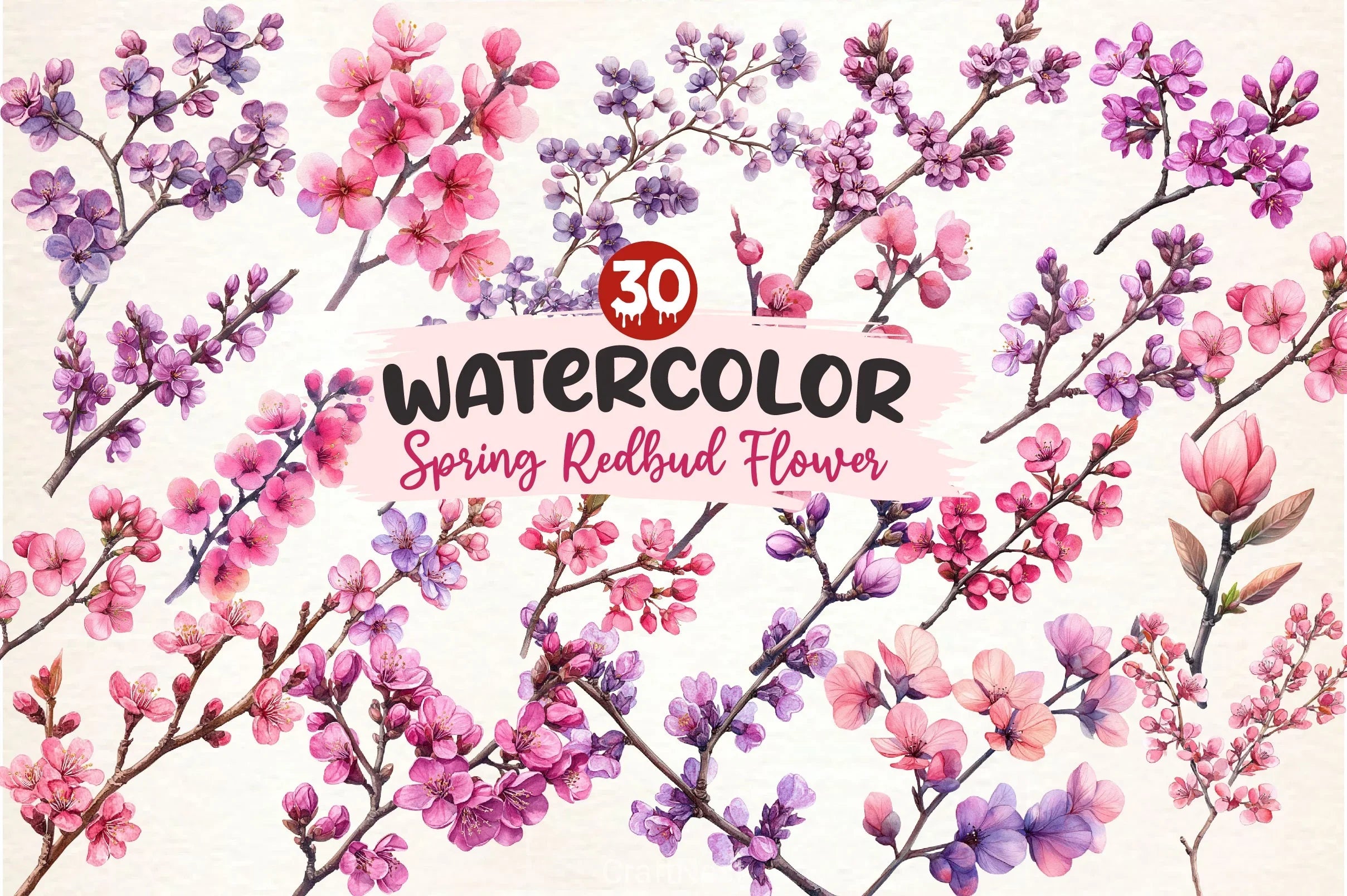 Spring Redbud Flower Clipart Bundle 2 - CraftNest - Digital Crafting and Art